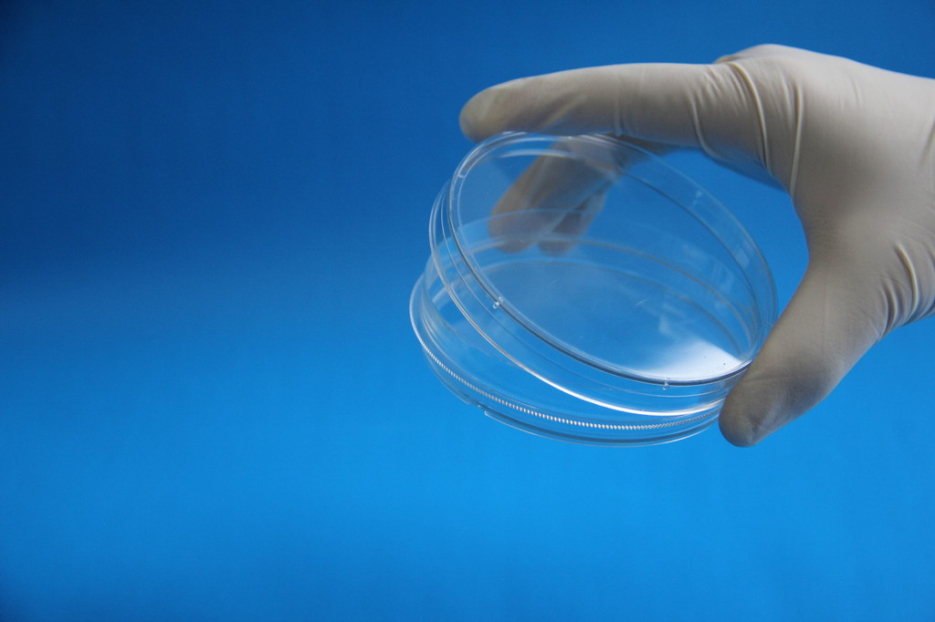 細胞培養皿 細胞培養皿